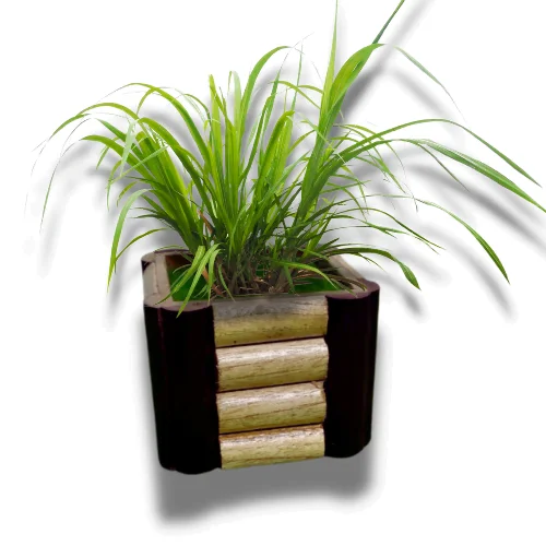 Wooden Plant Pot - Floweriopot